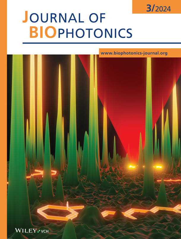 Journal Of Biophotonics 202413