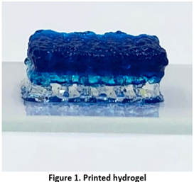 figure 1: printed hydrogel