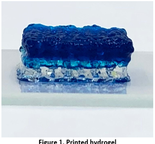 figure 1: printed hydrogel