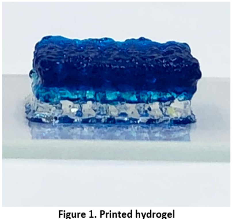 figure 1: printed hydrogel