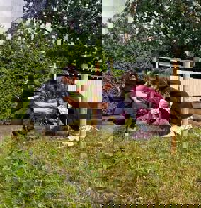 תל אביב- לודג': משלחת שלישית מאפקה למען ילדי הפליטים