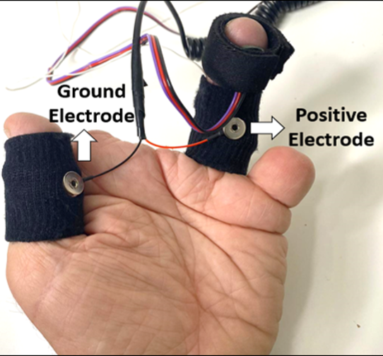 positive electrode, ground electrode